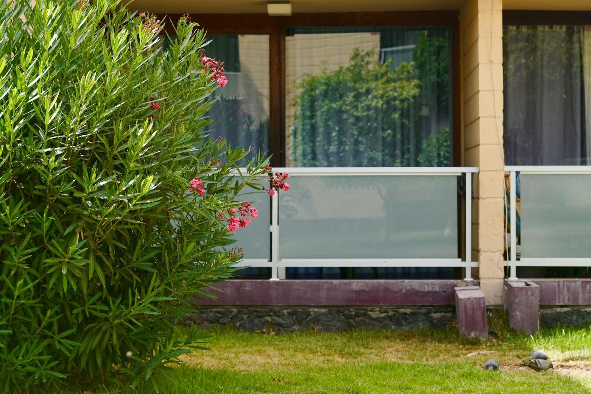 Apartamento El Gato Costa Del Silencio Exterior photo